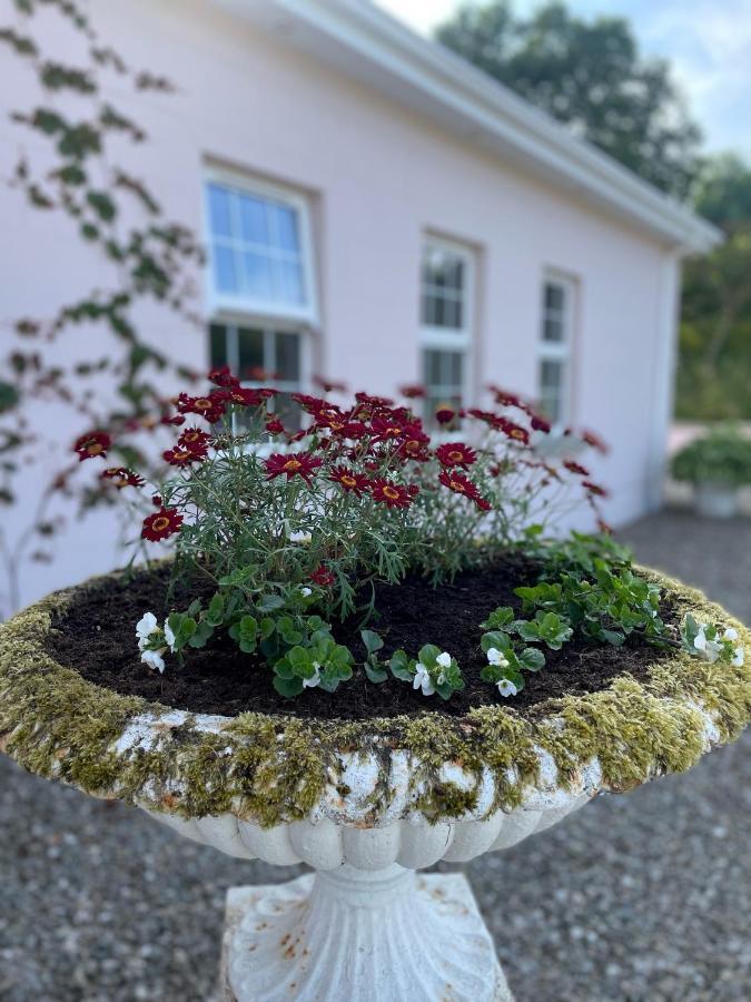 The Cottage At Riverbank Ballinamallard Exterior foto
